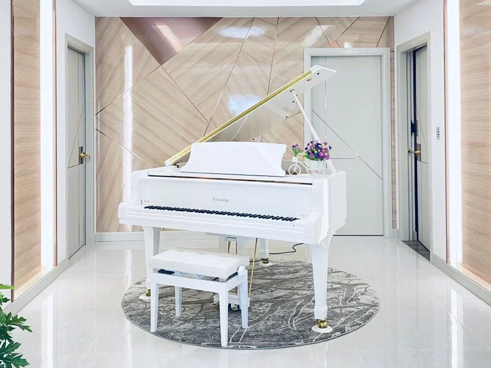 Ritmuller GDRS160 (+Piano Disc) - Chi tiết 2