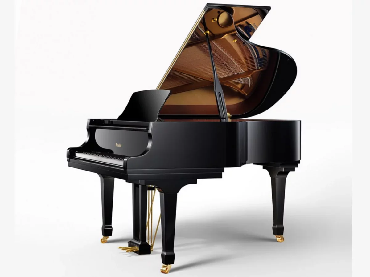 Reviews Ritmuller RS173