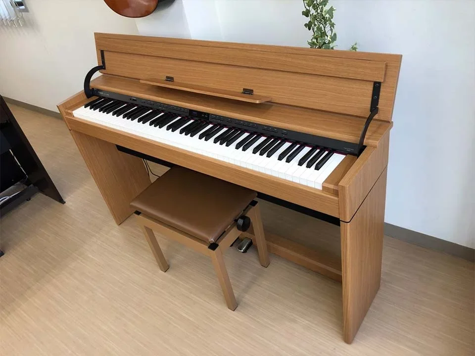 ROLAND DP-90E LWS - Chi tiết 1