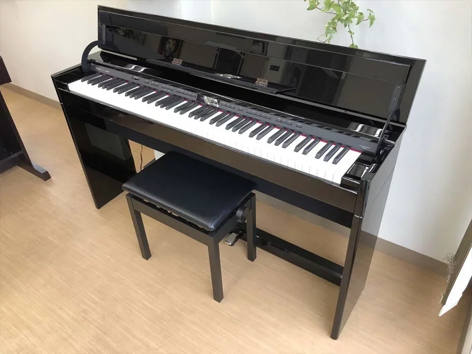 ROLAND DP-90Se PES - Chi tiết 2