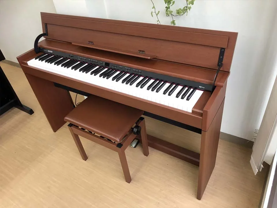 ROLAND DP-990F MC - Chi tiết 2