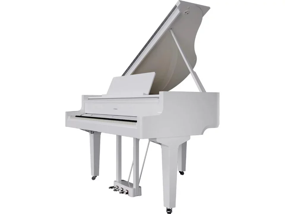 ROLAND GP-9 PW - Chi tiết 1