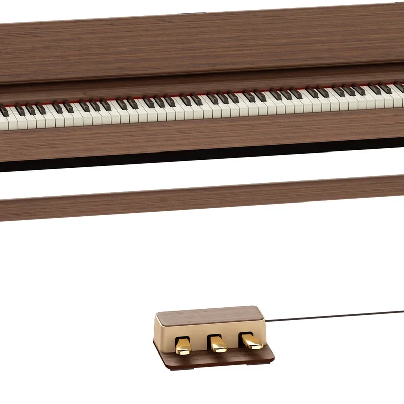 ROLAND Kiyola KF-20 KG - Chi tiết 1