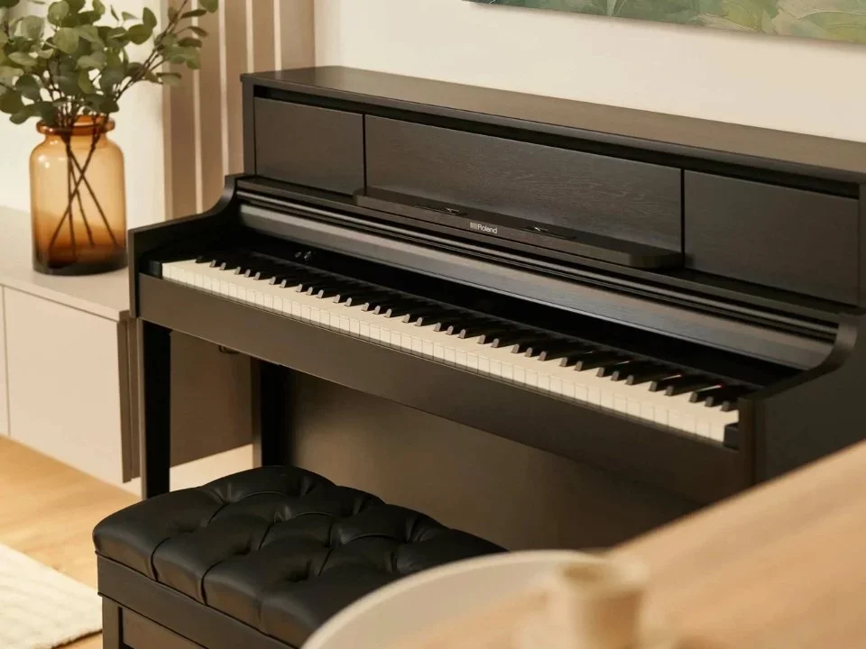 ROLAND LX-5 CB - Chi tiết 1