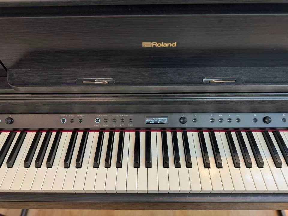 ROLAND LX-705 CB - Chi tiết 2