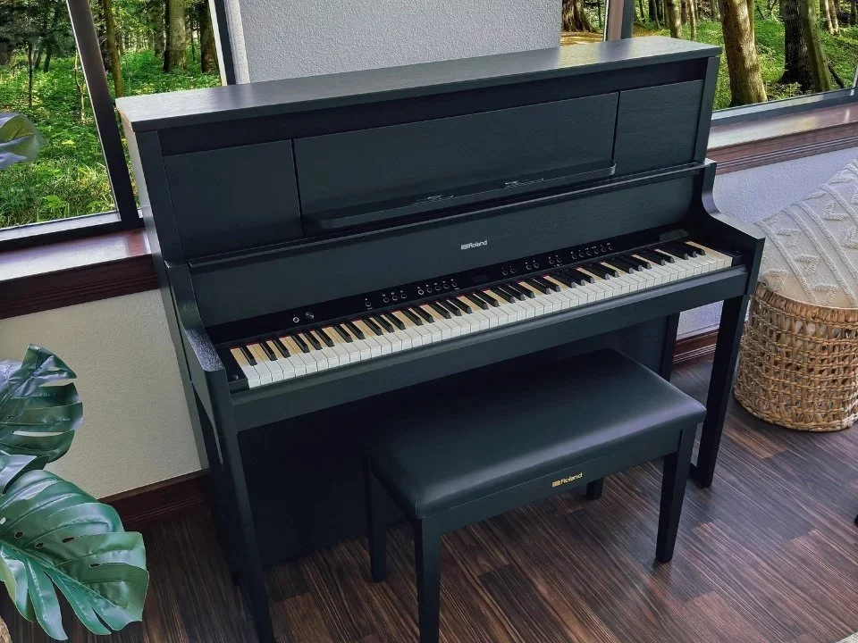 ROLAND LX-9 CB - Chi tiết 1