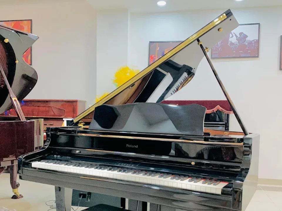 Reviews ROLAND RG-7F