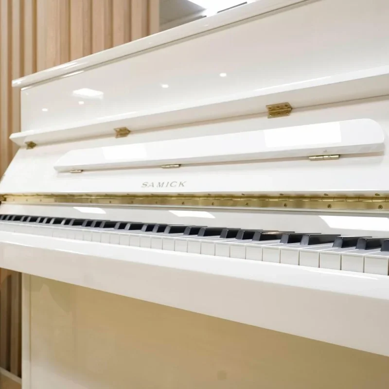 Reviews Samick JS115D WHHP