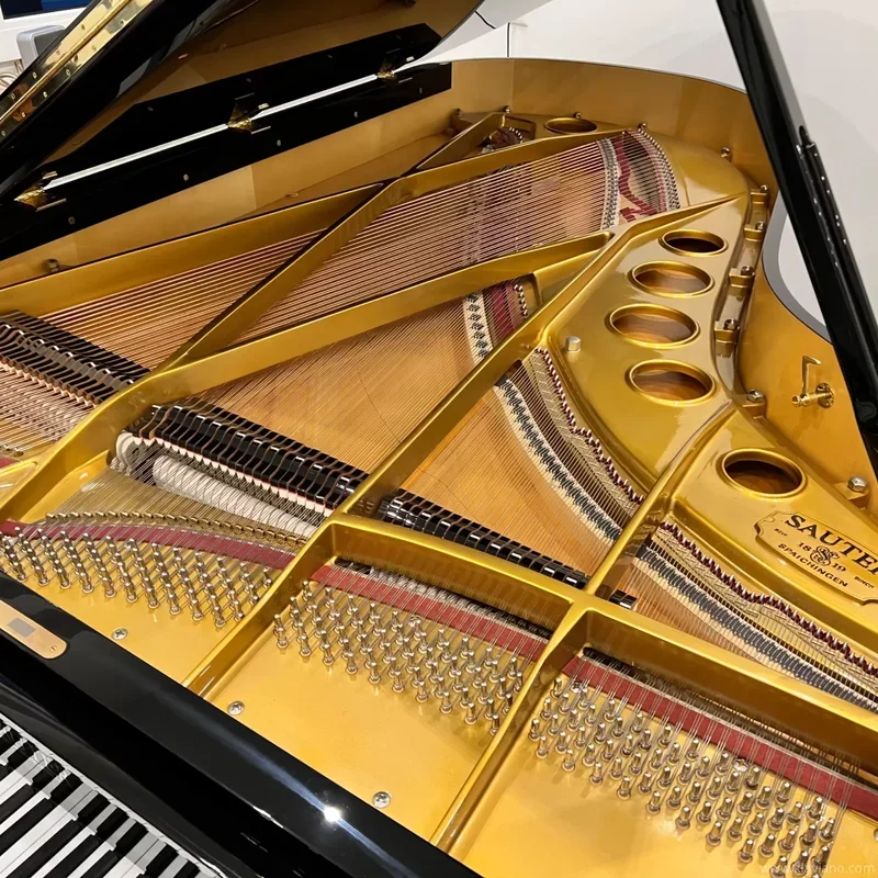 Sauter 220 Omega (USED) - Chi tiết 1