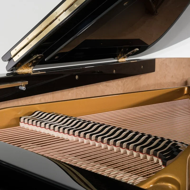 Reviews Sauter Alpha 160 - Polished