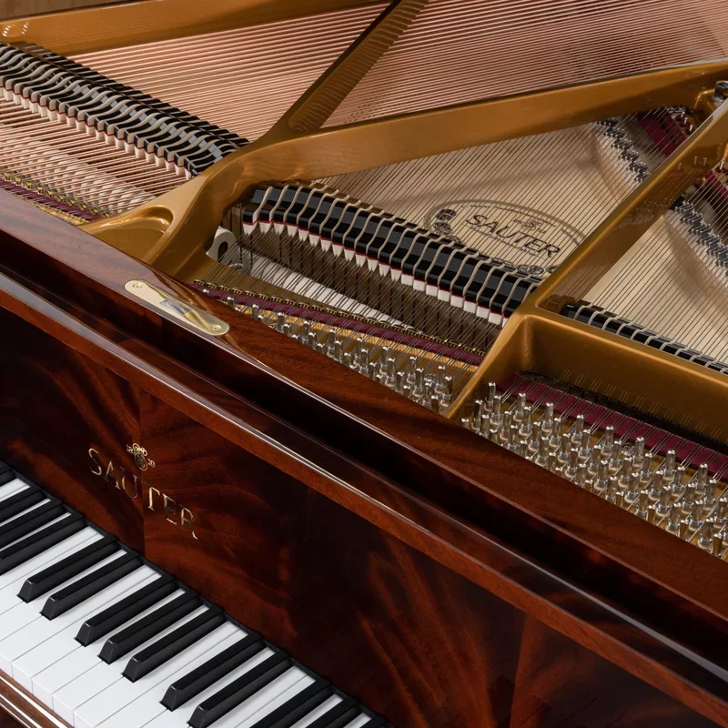 Sauter Alpha 160 Mahogany - Chi tiết 2