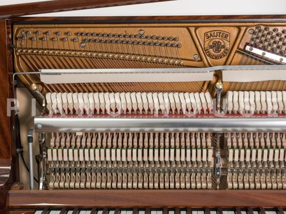 Sauter Artisan 124 - Chi tiết 2