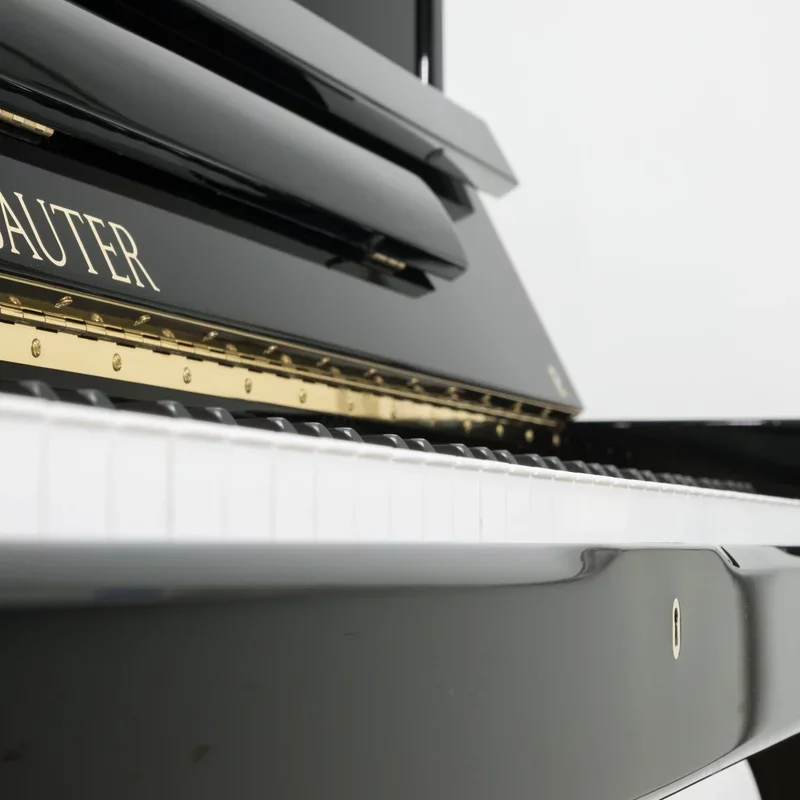 Sauter Carus 130 - Chi tiết 1