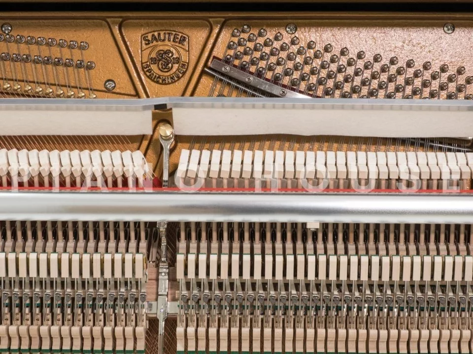 Sauter Carus 130 - Chi tiết 2