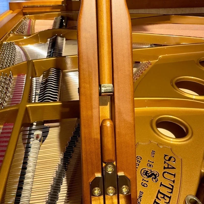 Sauter Chippendale 185 - Chi tiết 2