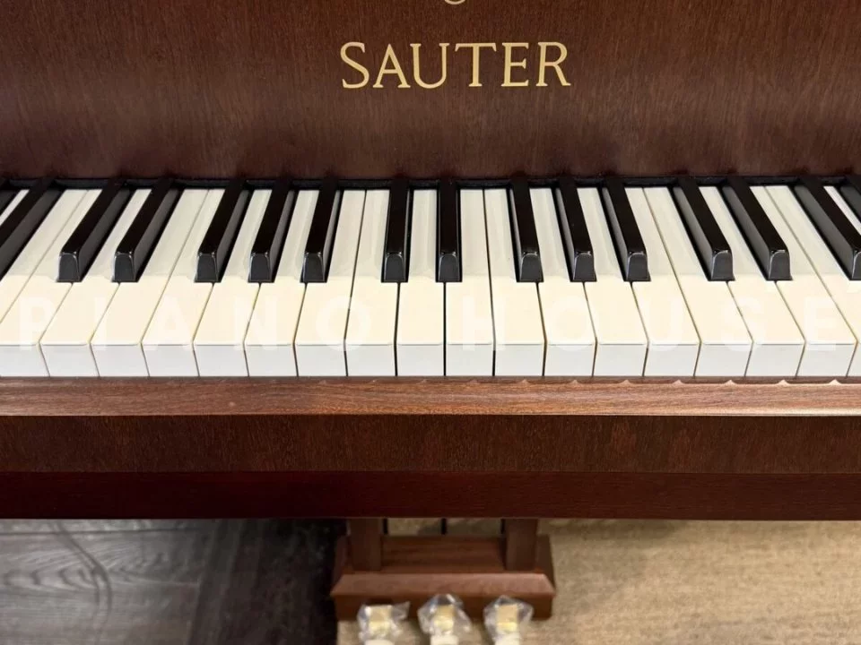Sauter Delta 185 | Salon Grand Piano (Satin Mahogany) - Chi tiết 2