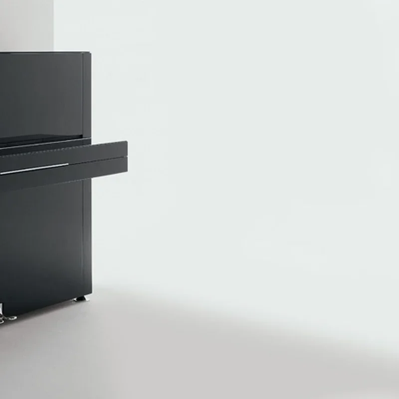 Sauter Pure Basic (Ivory Polished) - Chi tiết 2