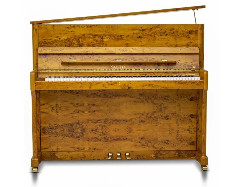 Sauter Ragazza 122 (Polished Bright Yew) - Chi tiết 1