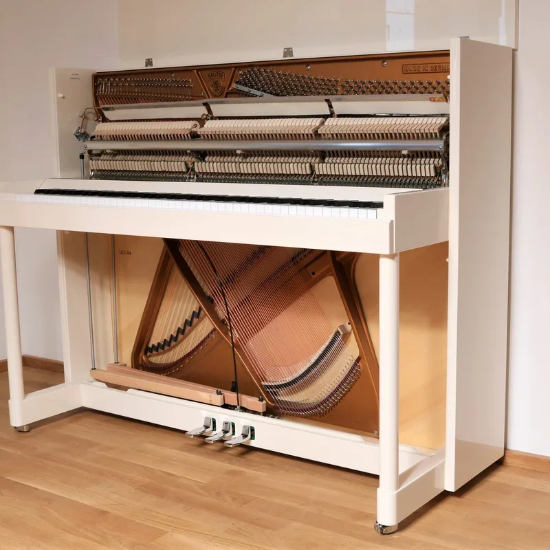 Reviews Sauter Vision 116 (Walnut Burl)