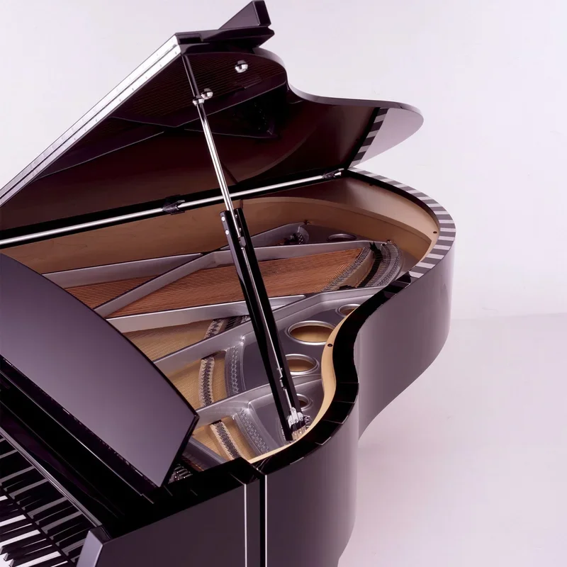 Sauter Vivace 210 (Maple) - Chi tiết 2