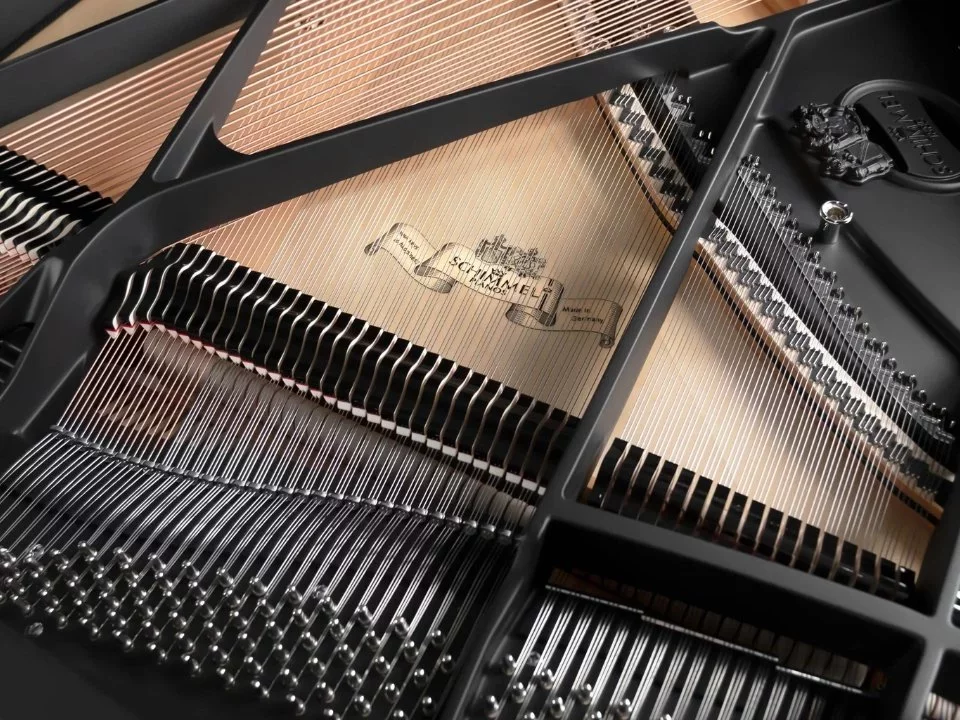 Schimmel Classic C169 The Black Pearl - Chi tiết 2