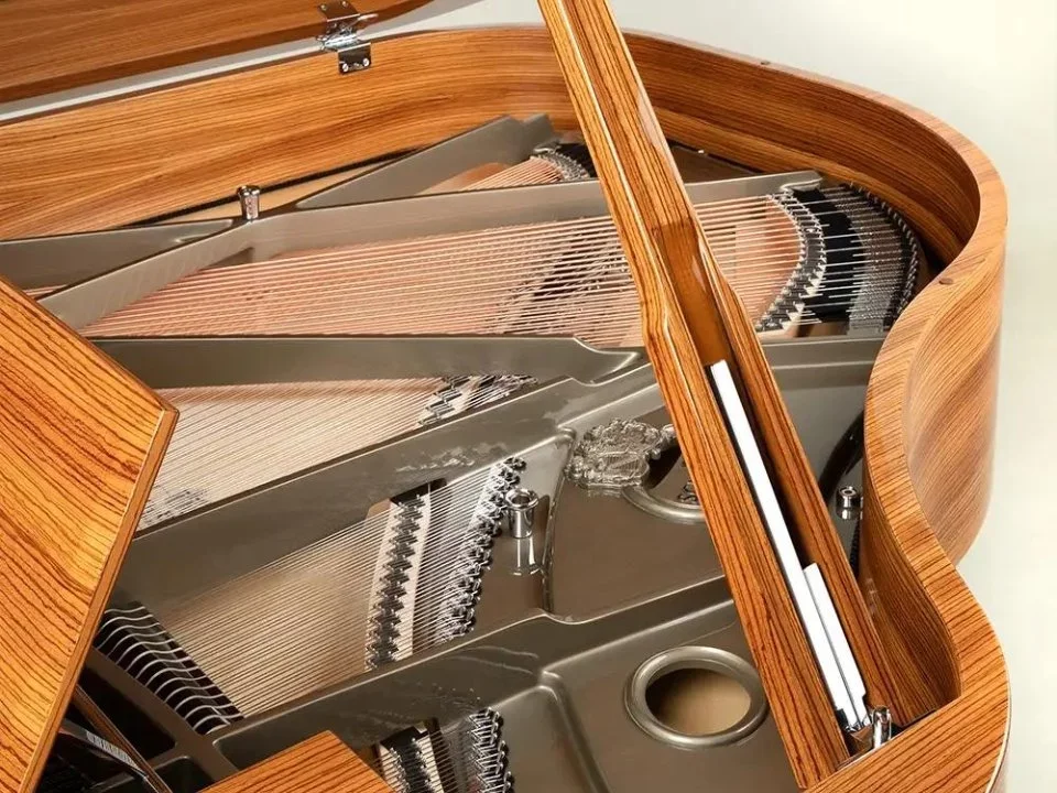 Schimmel Classic C169 Zebrano - Chi tiết 2