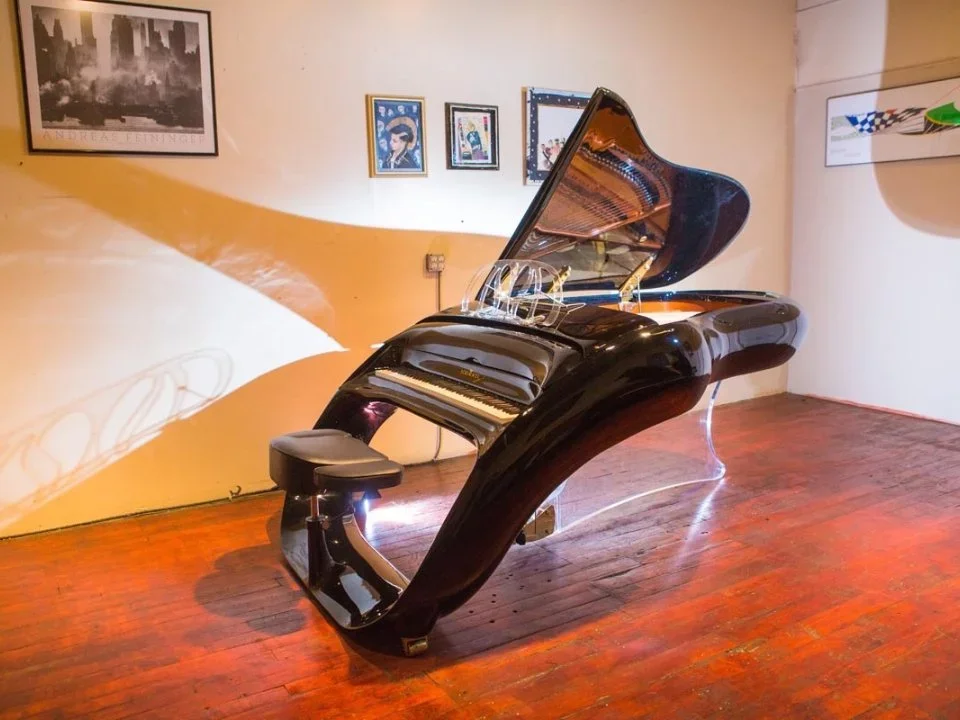 Schimmel K208 Pegasus - Chi tiết 2