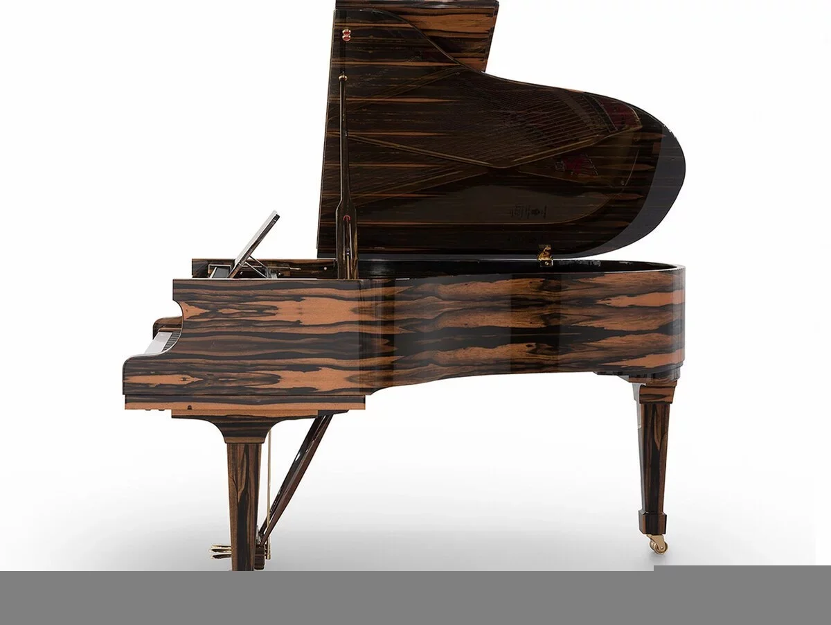 [SPECIAL] FAZIOLI EBONY BLACK & WHITE - Chi tiết 2