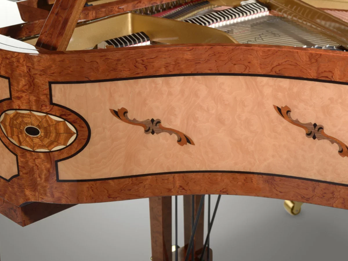 [SPECIAL] MADRONA - Chi tiết 1