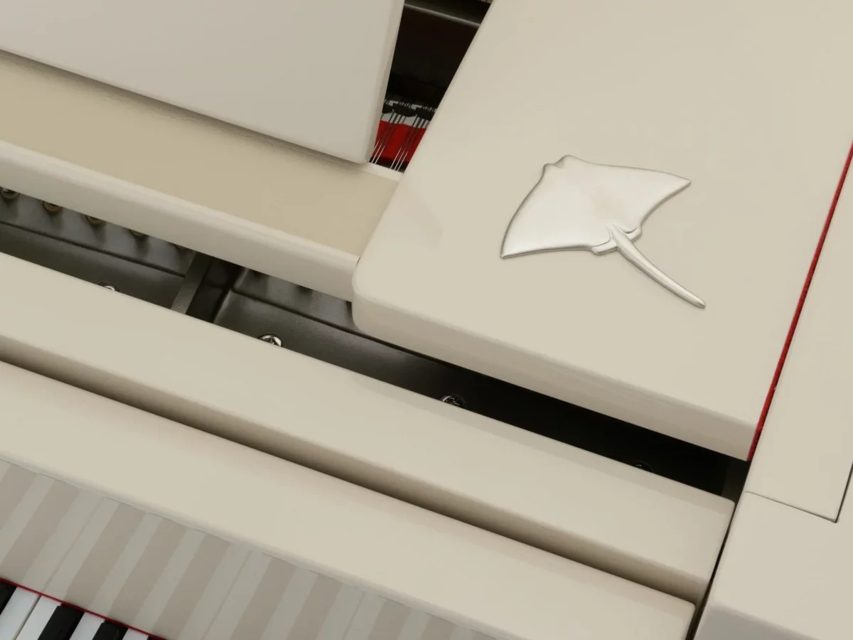 [SPECIAL] STINGRAY - Chi tiết 1