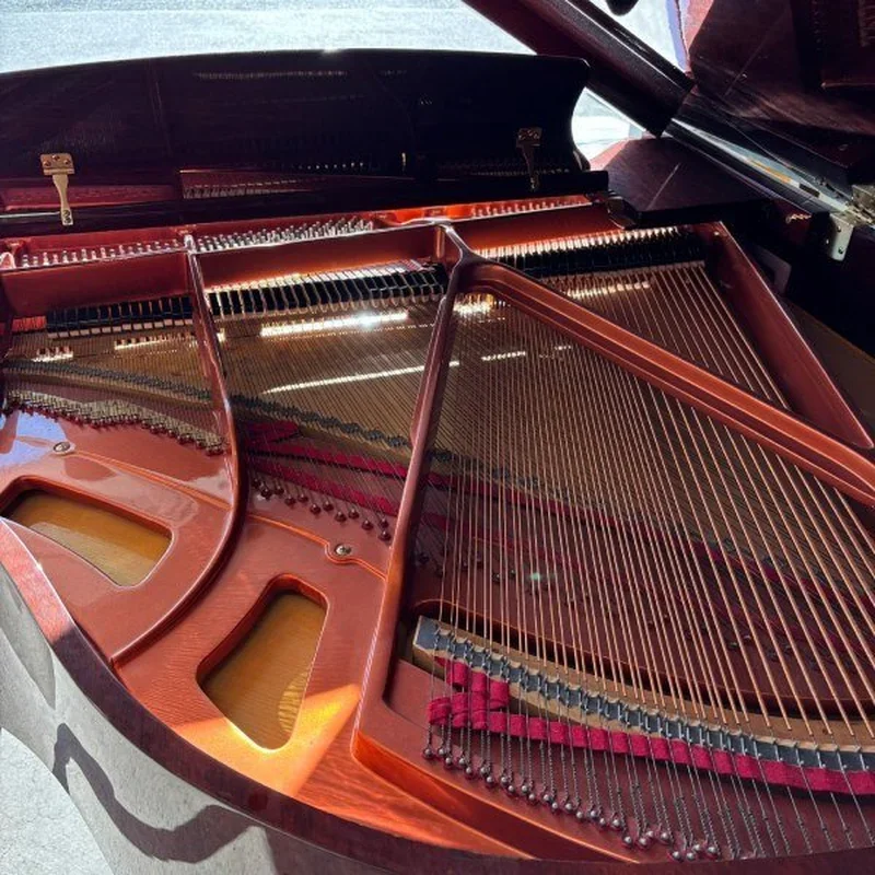 Reviews Wendl & Lung G151W