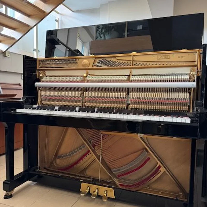 Wendl & Lung Mod.122 (Cherry Satin) - Chi tiết 2