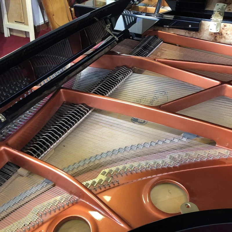 Reviews Wendl & Lung Mod.218 Concert I