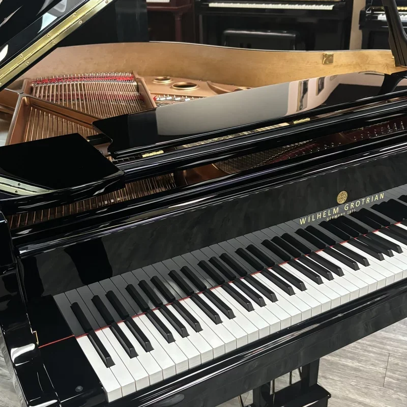 Wilhelm Grotrian WGS152 - Chi tiết 1