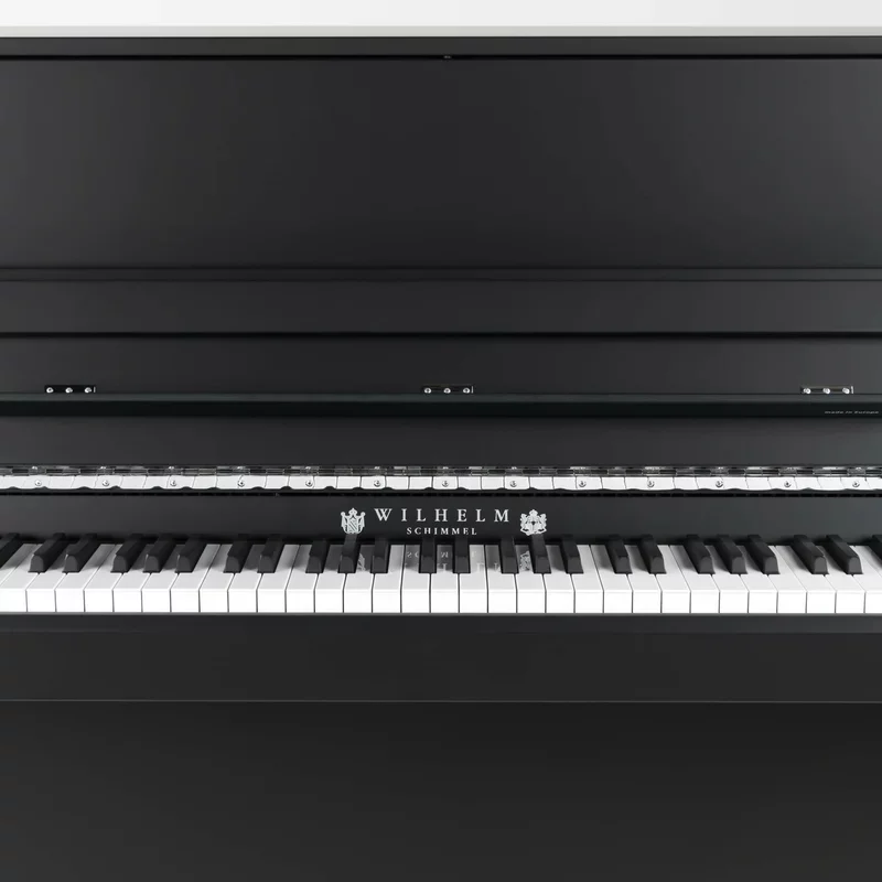 Reviews Wilhelm Schimmel W114 Modern Super Matt