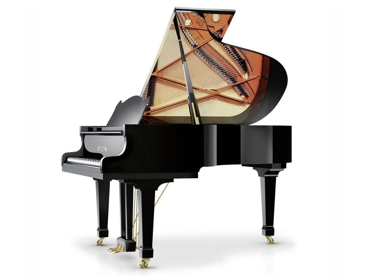 Wilhelm Schimmel W180 Tradition (Ebony High Gloss) - Chi tiết 2