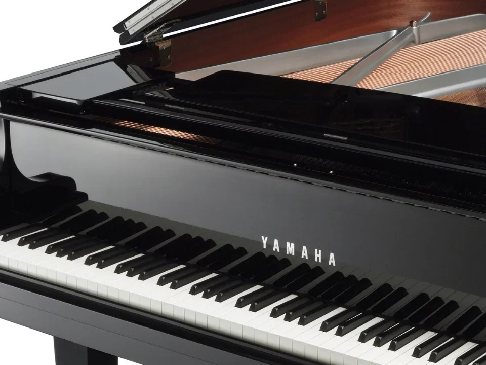 YAMAHA C2X Chrome SH3 (Limited Edition) - Chi tiết 1