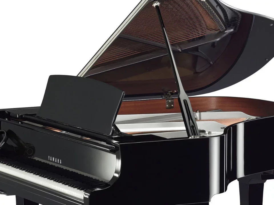 YAMAHA C2X Chrome SH3 (Limited Edition) - Chi tiết 2
