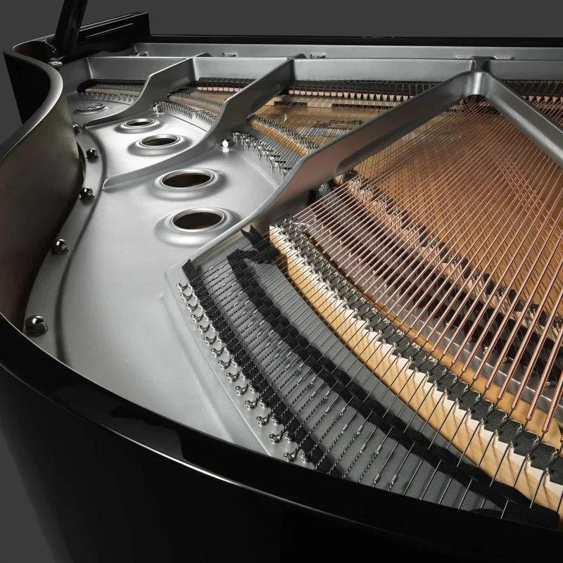 YAMAHA C2X - Chi tiết 1