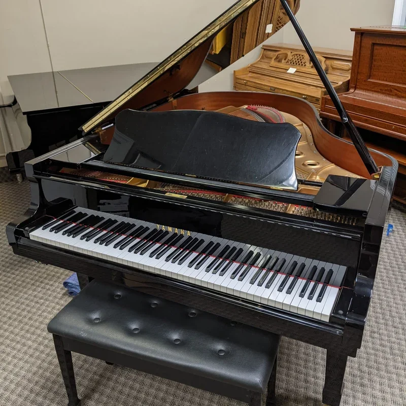 YAMAHA C3 SW - Chi tiết 2