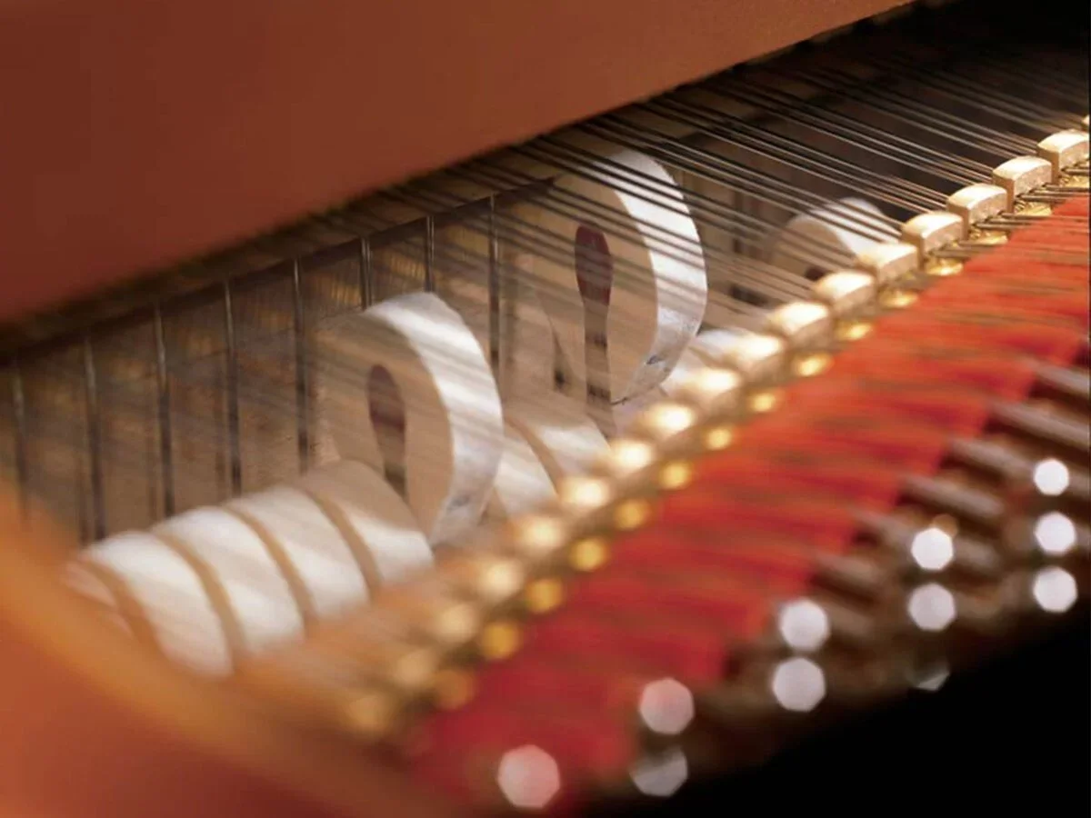 YAMAHA C3X (USED) - Hình ảnh chính