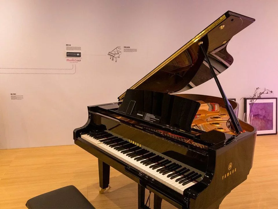 YAMAHA DC3X ENPRO PE - Chi tiết 1