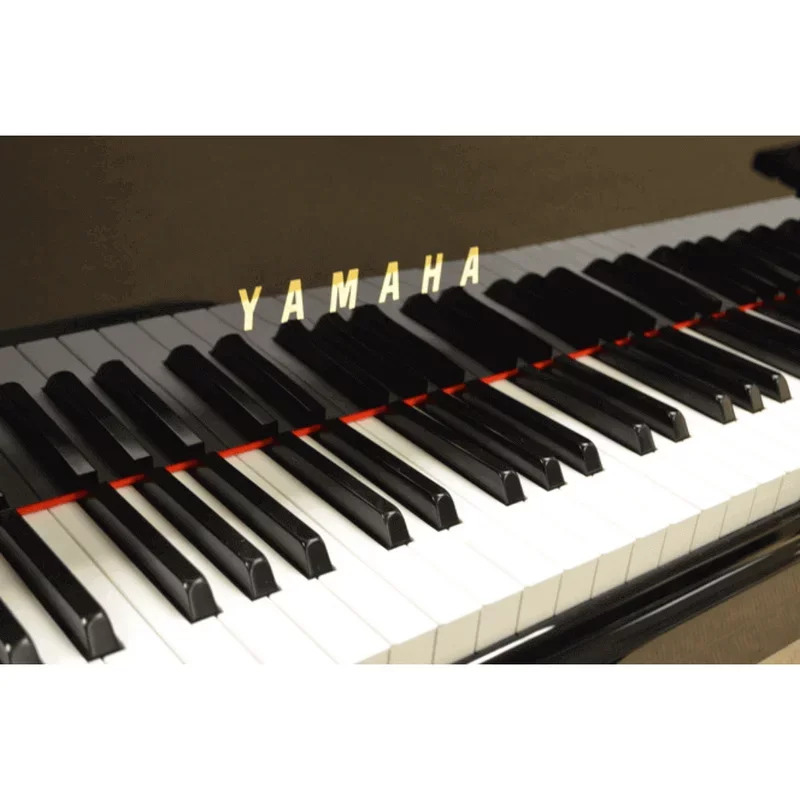 YAMAHA DGB1K ESNT PE - Chi tiết 1
