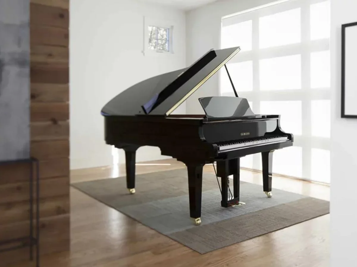 YAMAHA DGC2 ESNT PE - Chi tiết 1