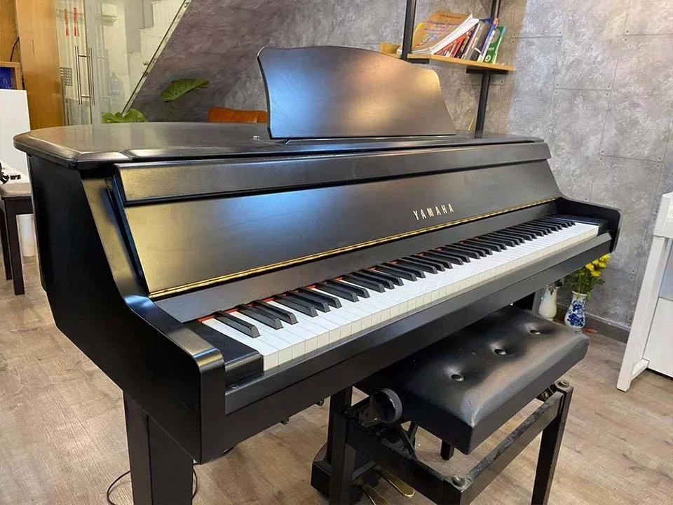 YAMAHA DGP1 - Chi tiết 1