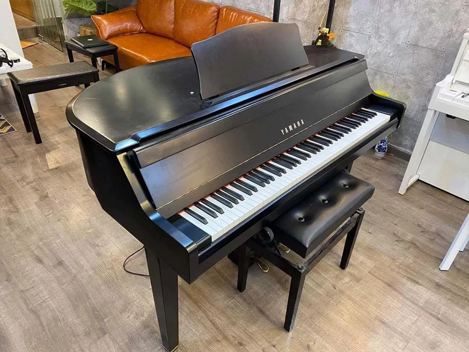 YAMAHA DGP1 - Chi tiết 2