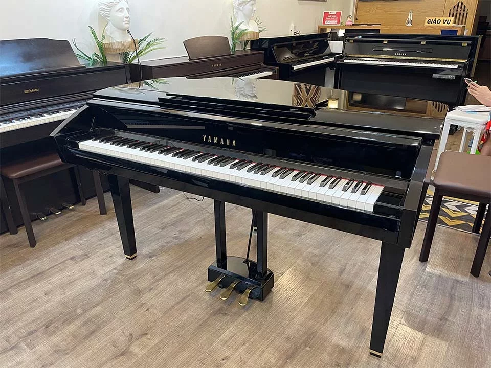 YAMAHA DGP7 - Chi tiết 1