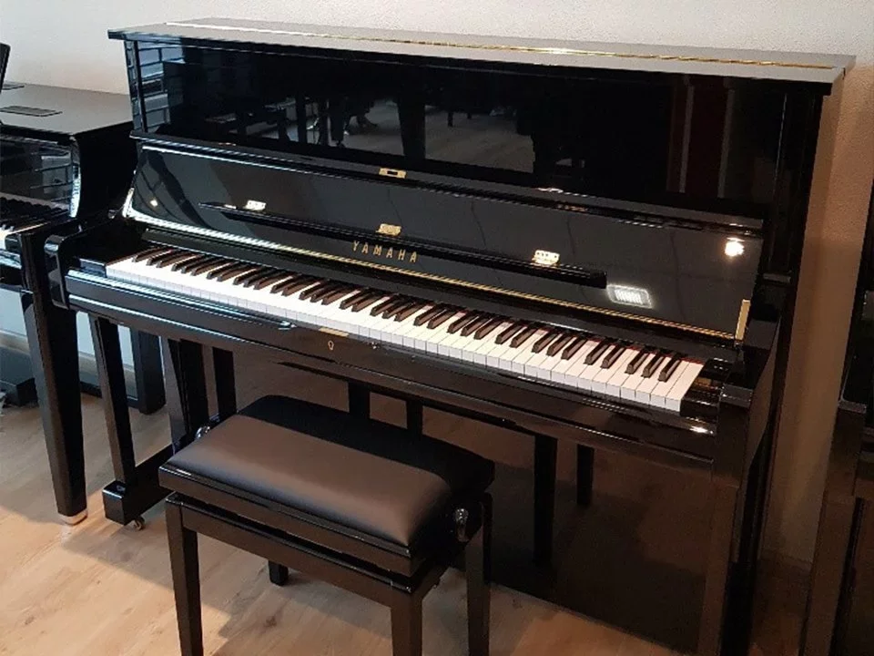 YAMAHA DU1 ESNT PE - Chi tiết 1