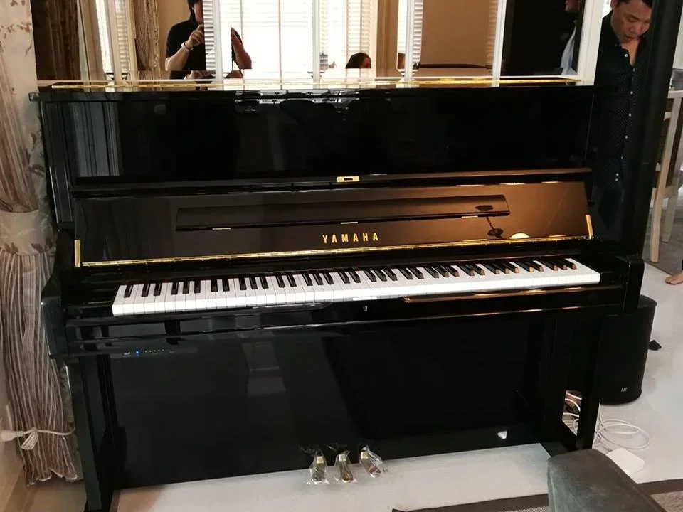 YAMAHA DU1 ESNT PE - Chi tiết 2
