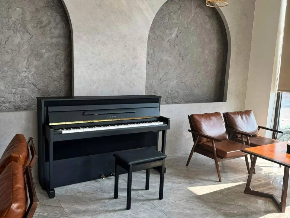 Reviews YAMAHA DUP-1